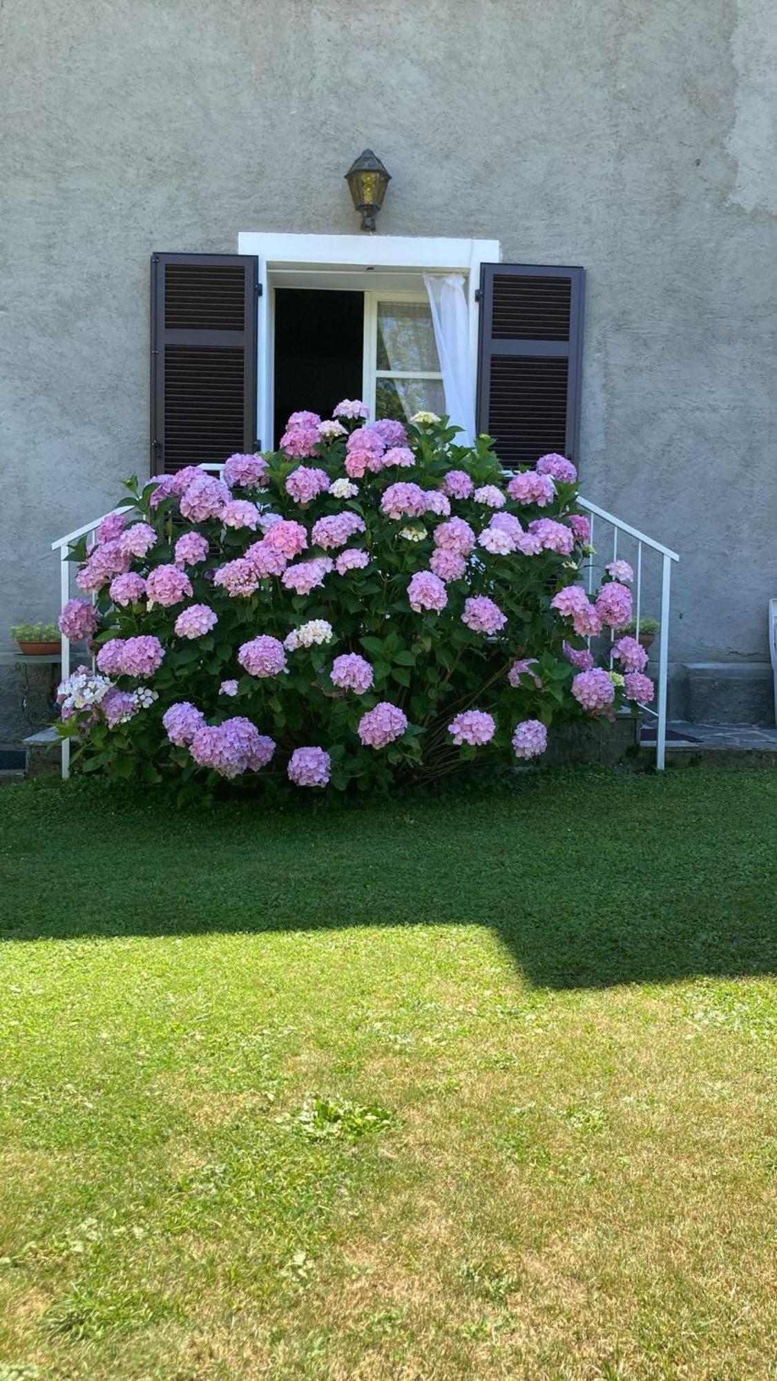 Villa La Ca Del Bicc Luino Exterior foto